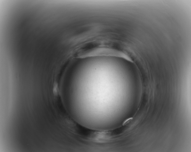 X0000088720089200706071628