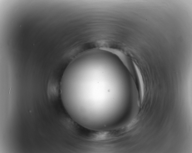 X0000088720090200706071628