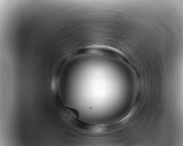X0000088720094200706071628