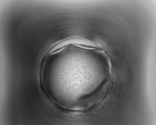 X0000088720098200706071628