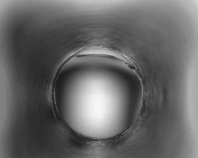 X0000088720100200706071628