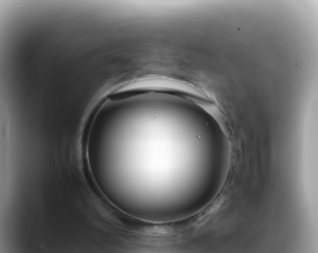 X0000088720102200706071628