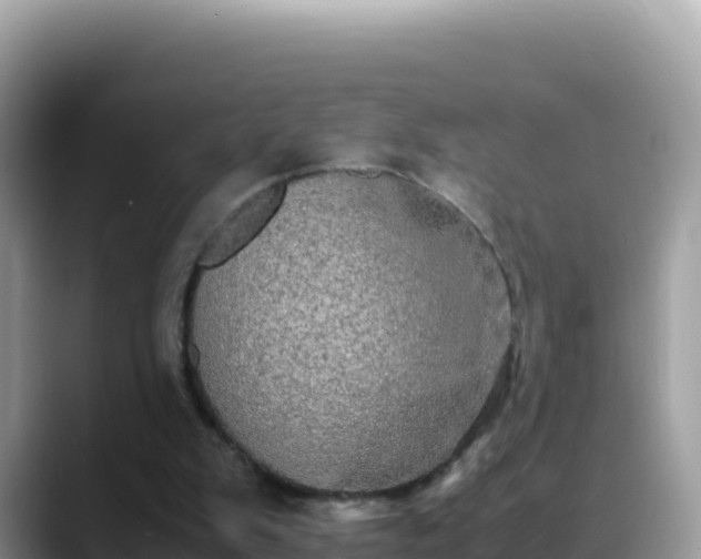 X0000088720103200706071628
