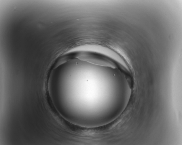 X0000088720105200706071628