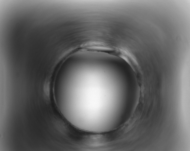 X0000088720108200706071628