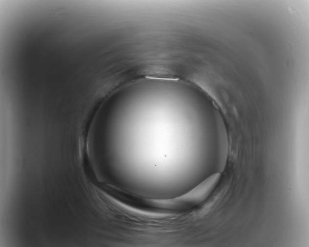 X0000088720109200706071628