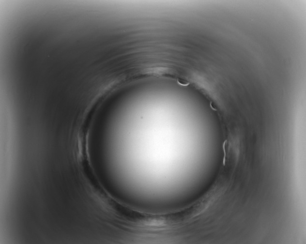 X0000088720110200706071628