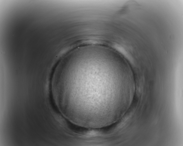 X0000088720111200706071628
