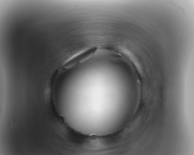X0000088720113200706071628