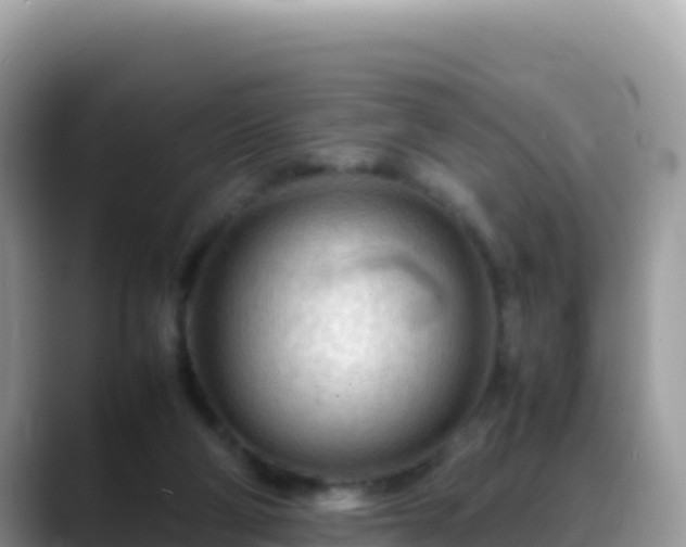 X0000088720114200706071627