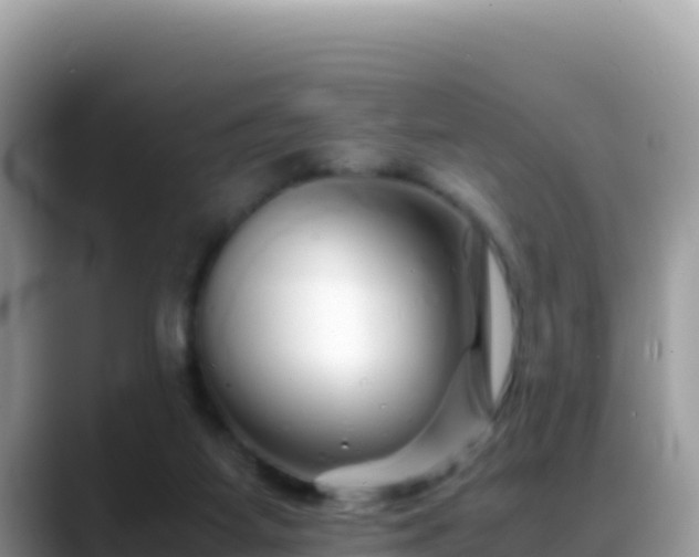 X0000088720115200706071627