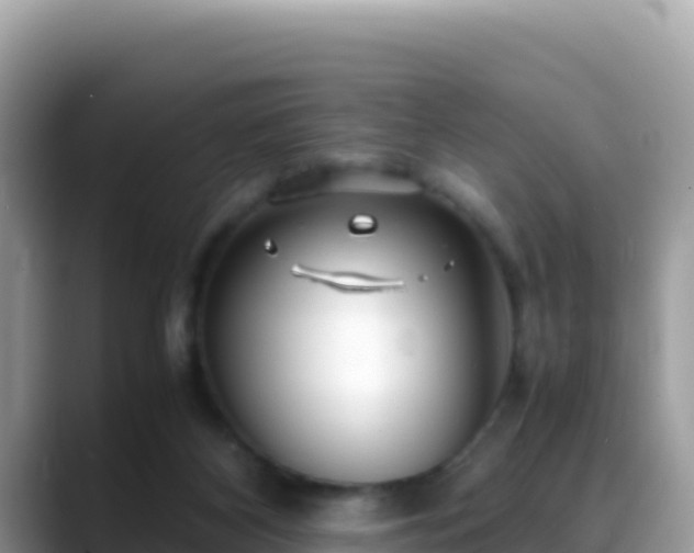 X0000088720116200706071627