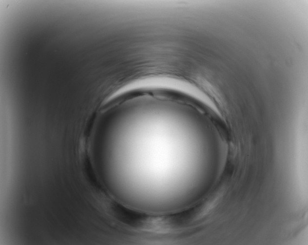 X0000088720117200706071627