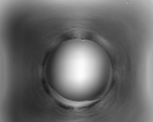 X0000088720121200706071627