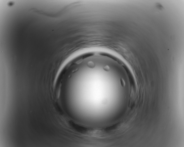 X0000088720125200706071627