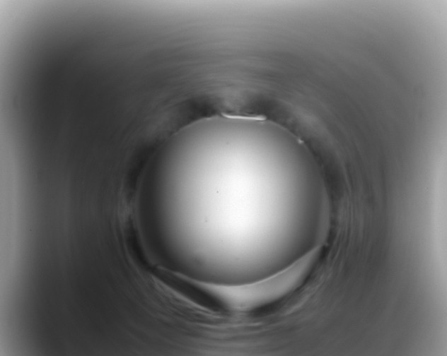 X0000088720129200706071627