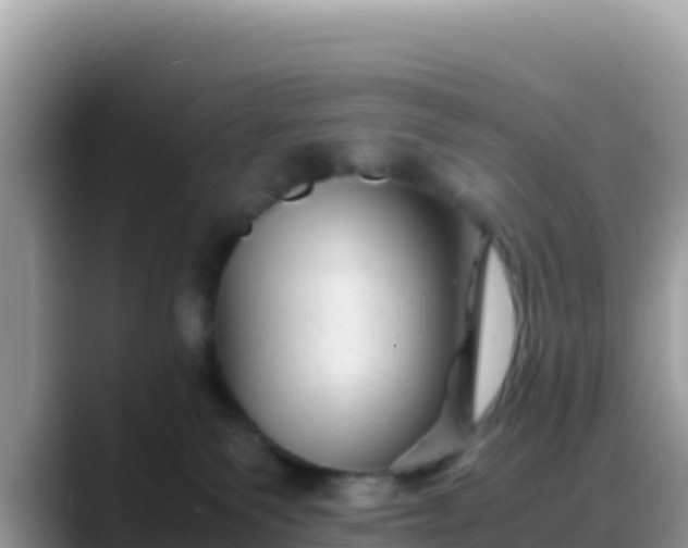 X0000088720135200706071627