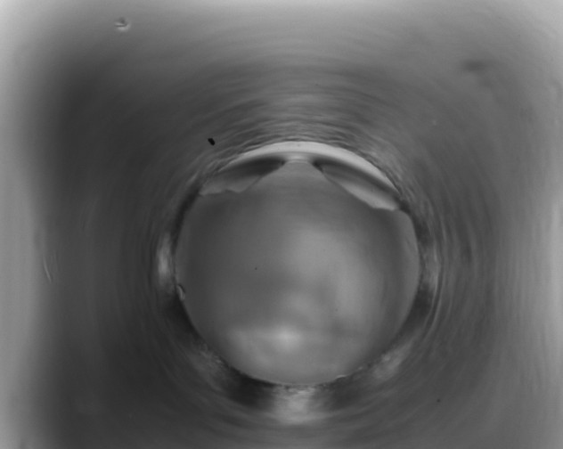 X0000088720143200706071627