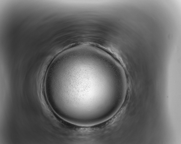 X0000088720145200706071626