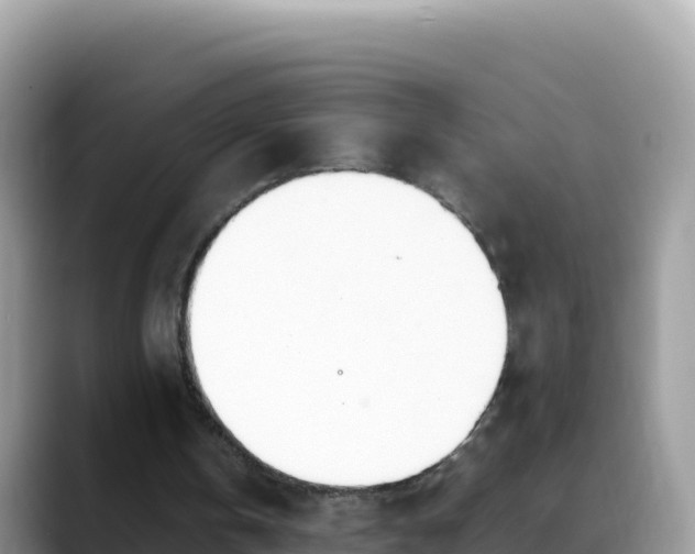 X0000088720146200706071626