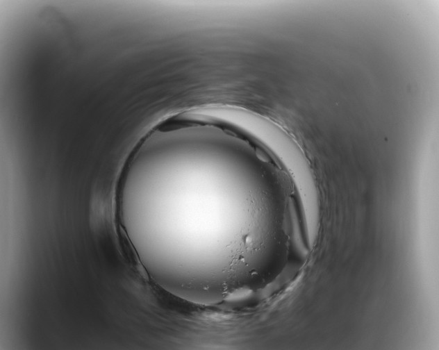 X0000088720148200706071627