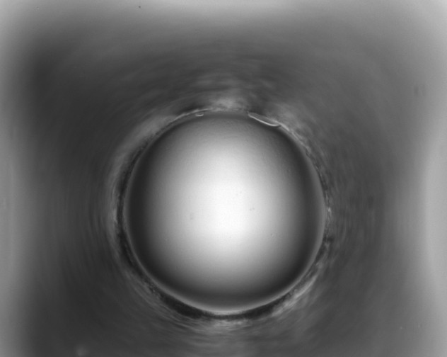 X0000088720149200706071627