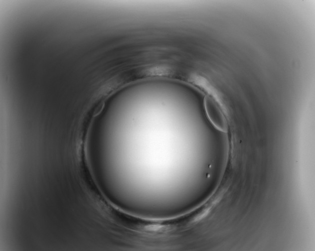 X0000088720153200706071627