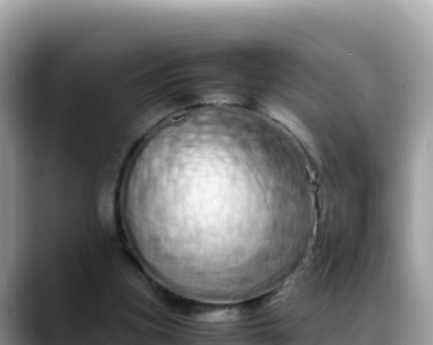 X0000088720155200706071627