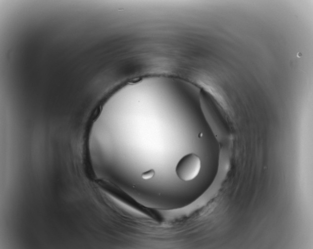 X0000088720156200706071627