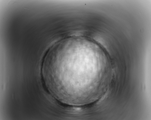 X0000088720159200706071627