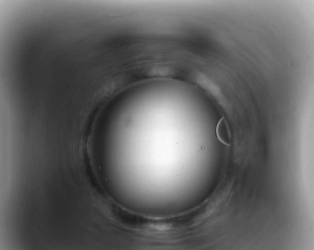 X0000088720161200706071627