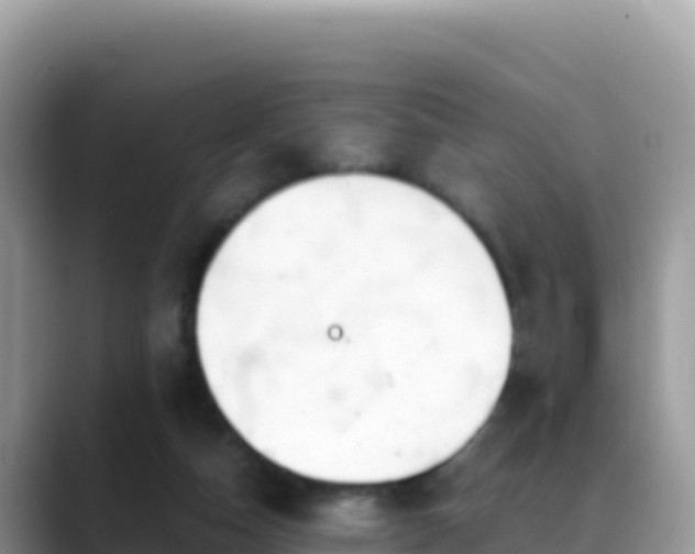 X0000088720162200706071627