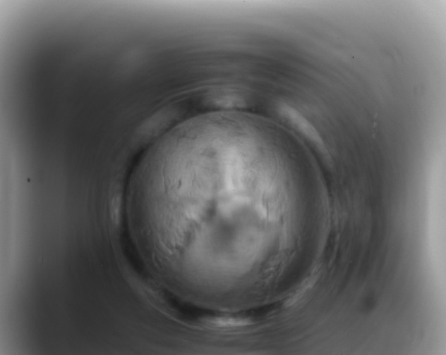 X0000088720163200706071627