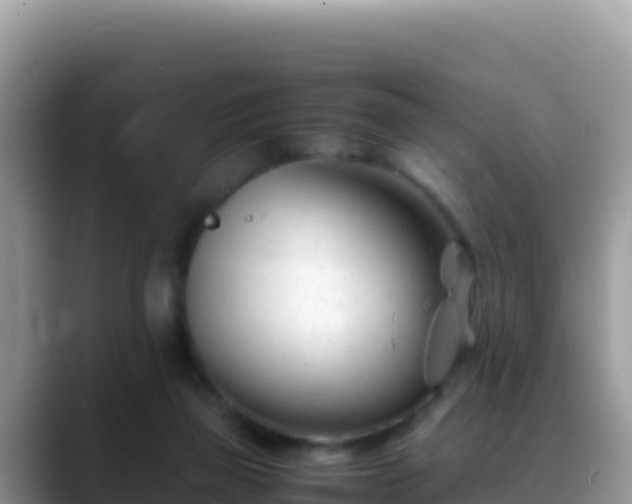 X0000088720165200706071627