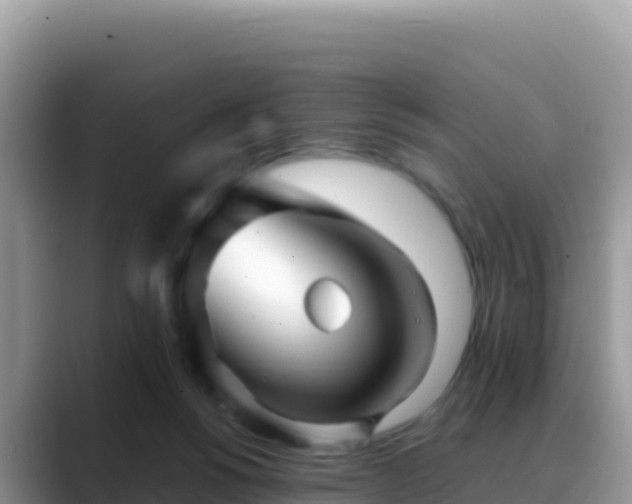 X0000088720168200706071627