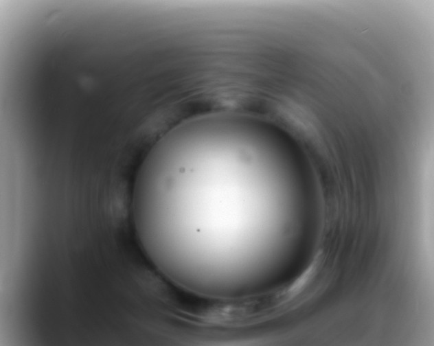 X0000088720174200706071627