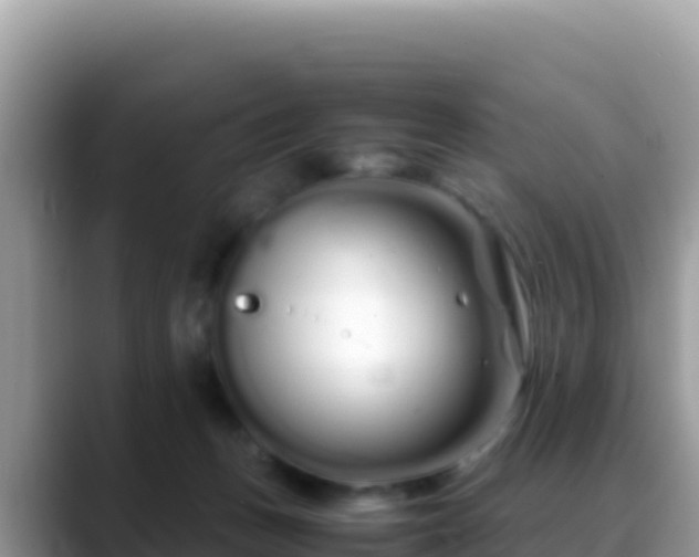X0000088720175200706071627