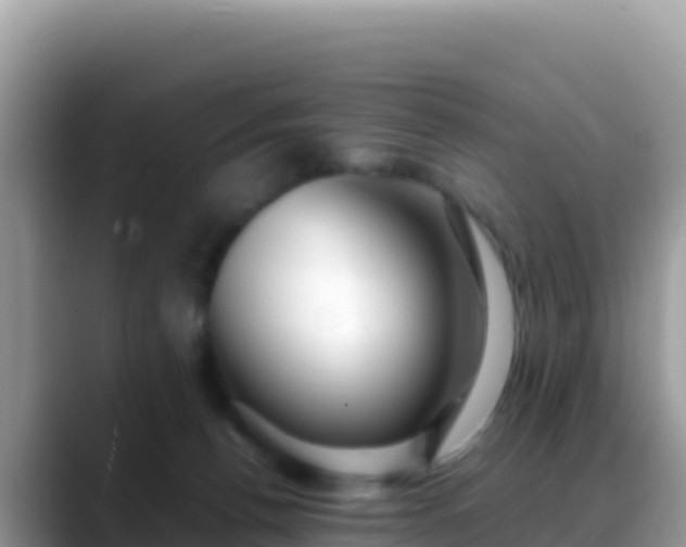 X0000088720176200706071627