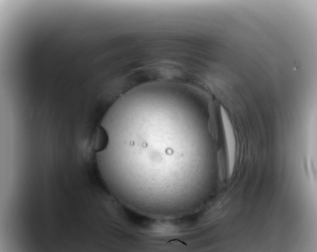 X0000088720177200706071627