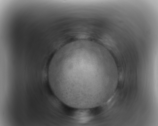 X0000088720179200706071627