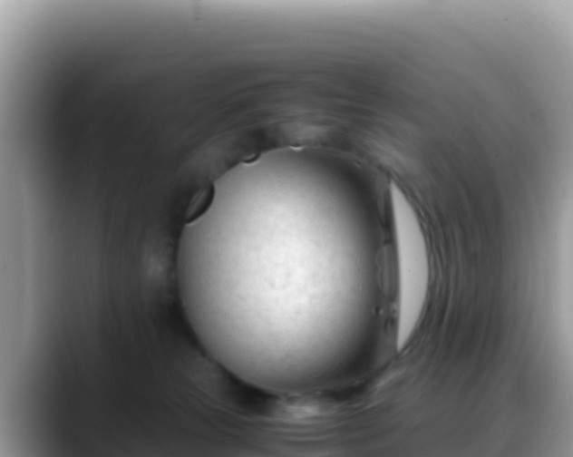 X0000088720181200706071627