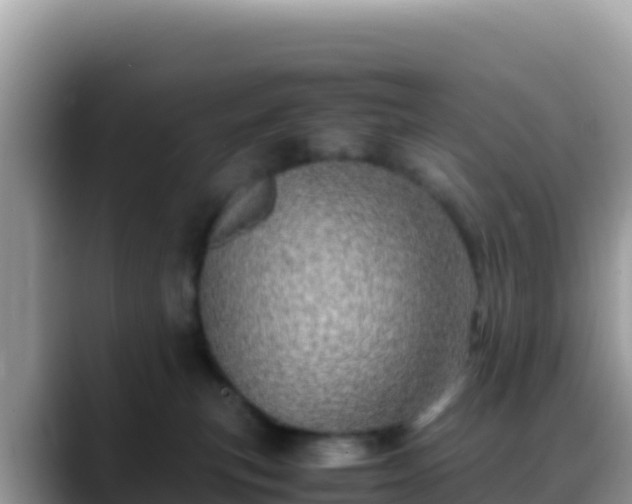 X0000088720183200706071627