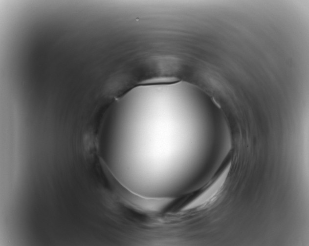 X0000088720184200706071627