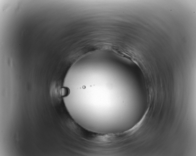 X0000088720190200706071627