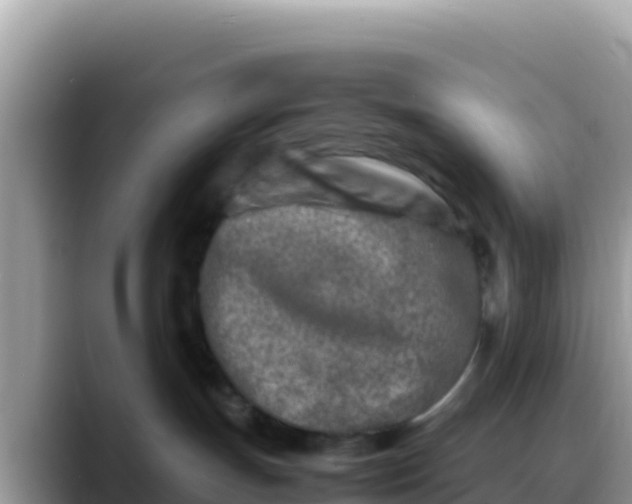 X0000088720191200706071627