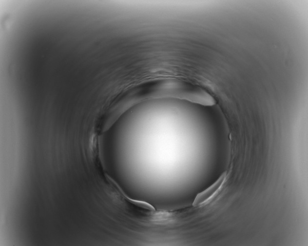 X0000088720192200706071627
