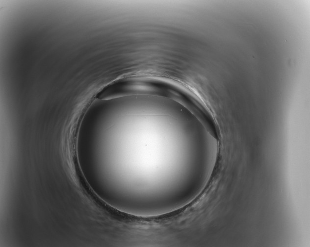 X0000088720193200706071626