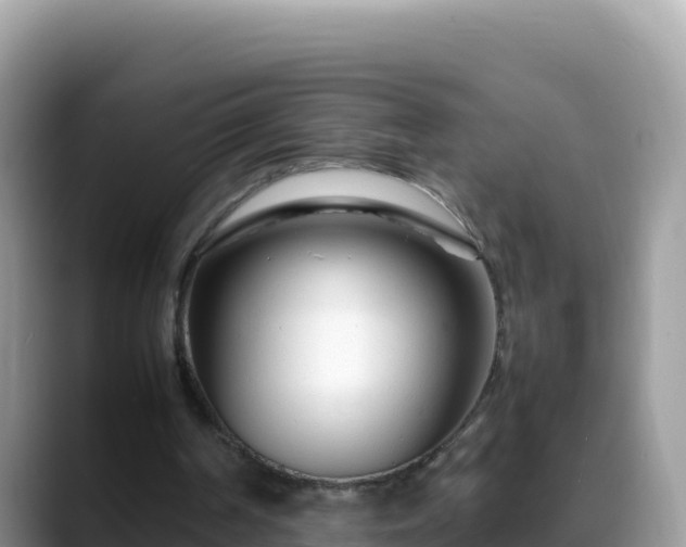 X0000088720194200706071626