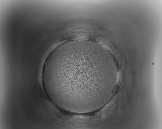 X0000088720195200706071626