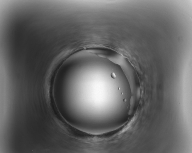 X0000088720197200706071626